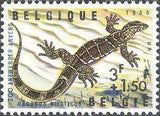 Belgium 1965 Animals of the Antwerp Zoo III - Reptiles-Stamps-Belgium-StampPhenom