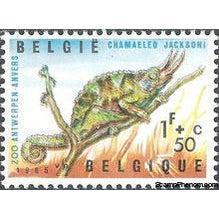 Belgium 1965 Animals of the Antwerp Zoo III - Reptiles-Stamps-Belgium-StampPhenom