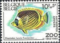 Belgium 1968 Solidarity - 125th Anniversary Zoo Antwerp - Fish-Stamps-Belgium-StampPhenom