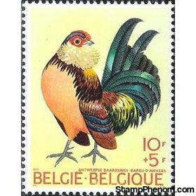 Belgium 1969 The Poultry-Yard-Stamps-Belgium-StampPhenom