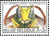 Belgium 1971 Solidarity - Heads of Insects-Stamps-Belgium-StampPhenom