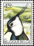 Belgium 1972 Solidarity - Birds-Stamps-Belgium-StampPhenom