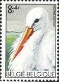 Belgium 1972 Solidarity - Birds-Stamps-Belgium-StampPhenom