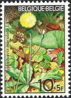 Belgium 1974 Solidarity - Fauna & Flora-Stamps-Belgium-StampPhenom