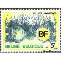 Belgium 1975 Centenary of Davids Foundation-Stamps-Belgium-StampPhenom