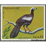 Paraguay 1973 Blue-throated Piping-Guan (Pipile cumanensis)