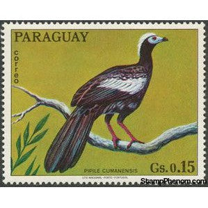 Paraguay 1973 Blue-throated Piping-Guan (Pipile cumanensis)