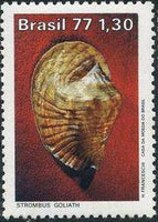 Brazil 1977 Molluscs-Stamps-Brazil-Mint-StampPhenom