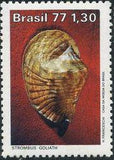 Brazil 1977 Molluscs-Stamps-Brazil-Mint-StampPhenom