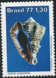 Brazil 1977 Molluscs-Stamps-Brazil-Mint-StampPhenom