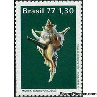 Brazil 1977 Molluscs-Stamps-Brazil-Mint-StampPhenom