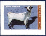 Brazil 1998 MoxotÃ³-Goat (Capra hircus)