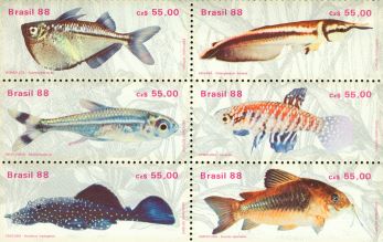 Brazil Fishes , 6 stamps - Brazil Fishes , 6 stamps