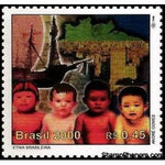 Brazil 2000 Brazilian ethnic