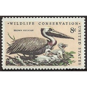 United States of America 1972 Brown Pelican (Pelecanus occidentalis)