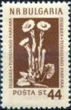 Bulgaria 1953 Flowers-Stamps-Bulgaria-StampPhenom