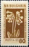 Bulgaria 1953 Flowers-Stamps-Bulgaria-StampPhenom