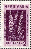 Bulgaria 1953 Flowers-Stamps-Bulgaria-StampPhenom