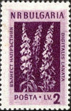 Bulgaria 1953 Flowers-Stamps-Bulgaria-StampPhenom