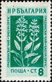 Bulgaria 1953 Flowers-Stamps-Bulgaria-StampPhenom