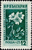 Bulgaria 1953 Flowers-Stamps-Bulgaria-StampPhenom