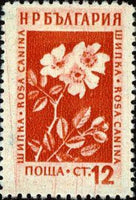 Bulgaria 1953 Flowers-Stamps-Bulgaria-StampPhenom