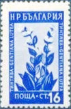 Bulgaria 1953 Flowers-Stamps-Bulgaria-StampPhenom