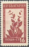 Bulgaria 1953 Flowers-Stamps-Bulgaria-StampPhenom