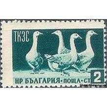 Bulgaria 1955 Domestic Animals & Buildings-Stamps-Bulgaria-StampPhenom