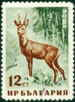 Bulgaria 1958 Native Wild Animals-Stamps-Bulgaria-StampPhenom