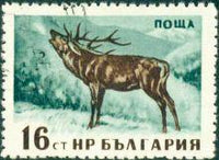 Bulgaria 1958 Native Wild Animals-Stamps-Bulgaria-StampPhenom