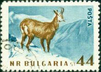 Bulgaria 1958 Native Wild Animals-Stamps-Bulgaria-StampPhenom