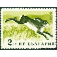 Bulgaria 1958 Native Wild Animals-Stamps-Bulgaria-StampPhenom