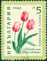 Bulgaria 1960 Nature Conservation - Flowers-Stamps-Bulgaria-StampPhenom