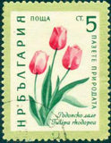 Bulgaria 1960 Nature Conservation - Flowers-Stamps-Bulgaria-StampPhenom