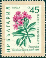 Bulgaria 1960 Nature Conservation - Flowers-Stamps-Bulgaria-StampPhenom