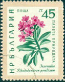 Bulgaria 1960 Nature Conservation - Flowers-Stamps-Bulgaria-StampPhenom