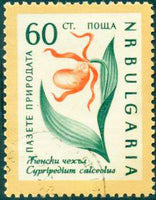 Bulgaria 1960 Nature Conservation - Flowers-Stamps-Bulgaria-StampPhenom