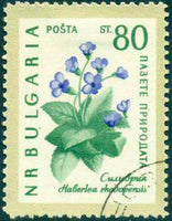 Bulgaria 1960 Nature Conservation - Flowers-Stamps-Bulgaria-StampPhenom