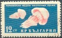 Bulgaria 1961 Black Sea Marine Life-Stamps-Bulgaria-StampPhenom