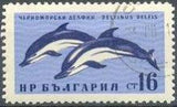 Bulgaria 1961 Black Sea Marine Life-Stamps-Bulgaria-StampPhenom