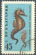 Bulgaria 1961 Black Sea Marine Life-Stamps-Bulgaria-StampPhenom