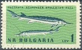 Bulgaria 1961 Black Sea Marine Life-Stamps-Bulgaria-StampPhenom