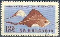 Bulgaria 1961 Black Sea Marine Life-Stamps-Bulgaria-StampPhenom