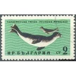 Bulgaria 1961 Black Sea Marine Life-Stamps-Bulgaria-StampPhenom