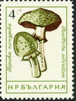 Bulgaria 1961 Fungi-Stamps-Bulgaria-StampPhenom