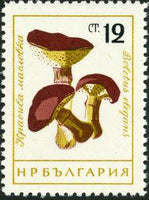 Bulgaria 1961 Fungi-Stamps-Bulgaria-StampPhenom