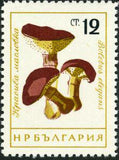 Bulgaria 1961 Fungi-Stamps-Bulgaria-StampPhenom