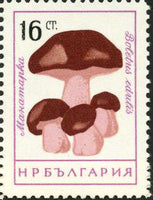 Bulgaria 1961 Fungi-Stamps-Bulgaria-StampPhenom