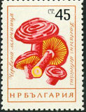 Bulgaria 1961 Fungi-Stamps-Bulgaria-StampPhenom